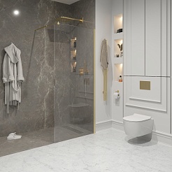 Niagara Душевая перегородка Nova 100 NG-643-10GOLD – фотография-2